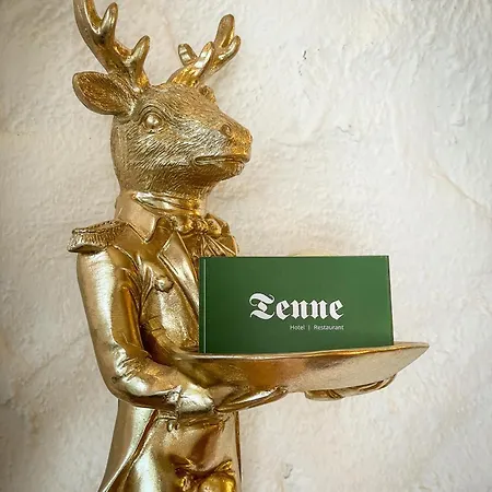 Tenne Hotel Sankt Anton am Arlberg